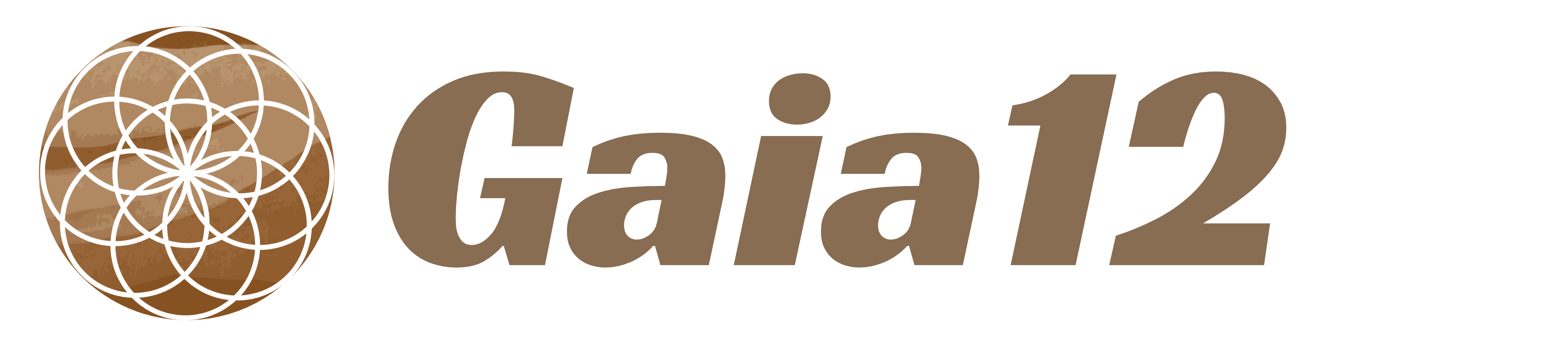Gaia12 Logo